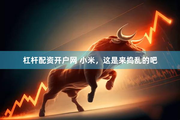 杠杆配资开户网 小米，这是来捣乱的吧