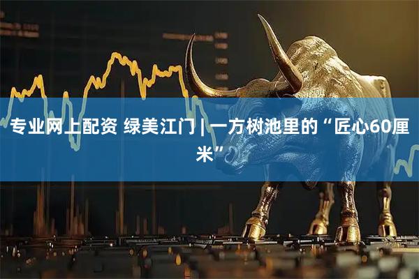 专业网上配资 绿美江门 | 一方树池里的“匠心60厘米”