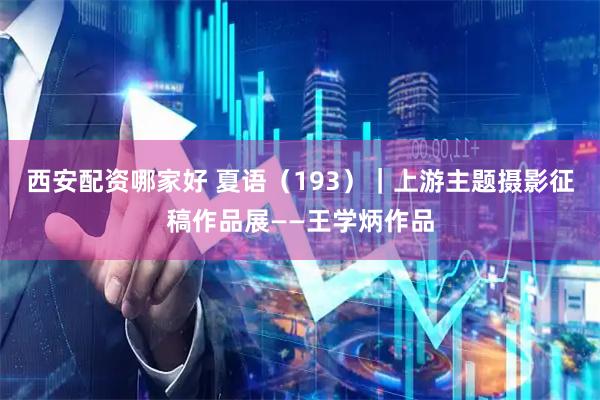西安配资哪家好 夏语（193）｜上游主题摄影征稿作品展——王学炳作品