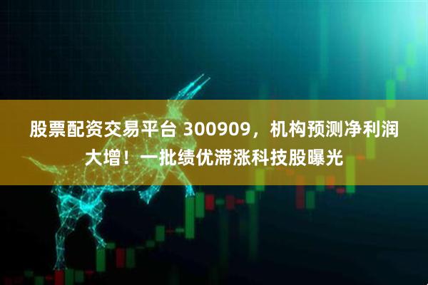 股票配资交易平台 300909，机构预测净利润大增！一批绩优滞涨科技股曝光